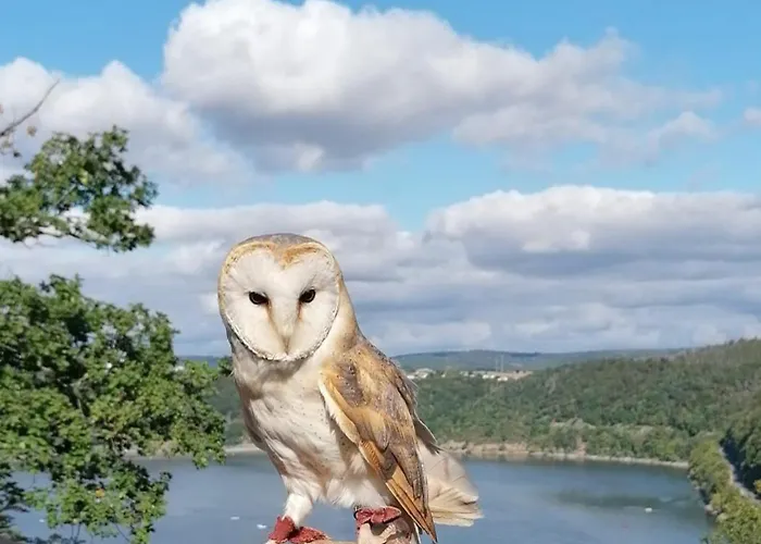 Maberg Auf Scheid Apartment *